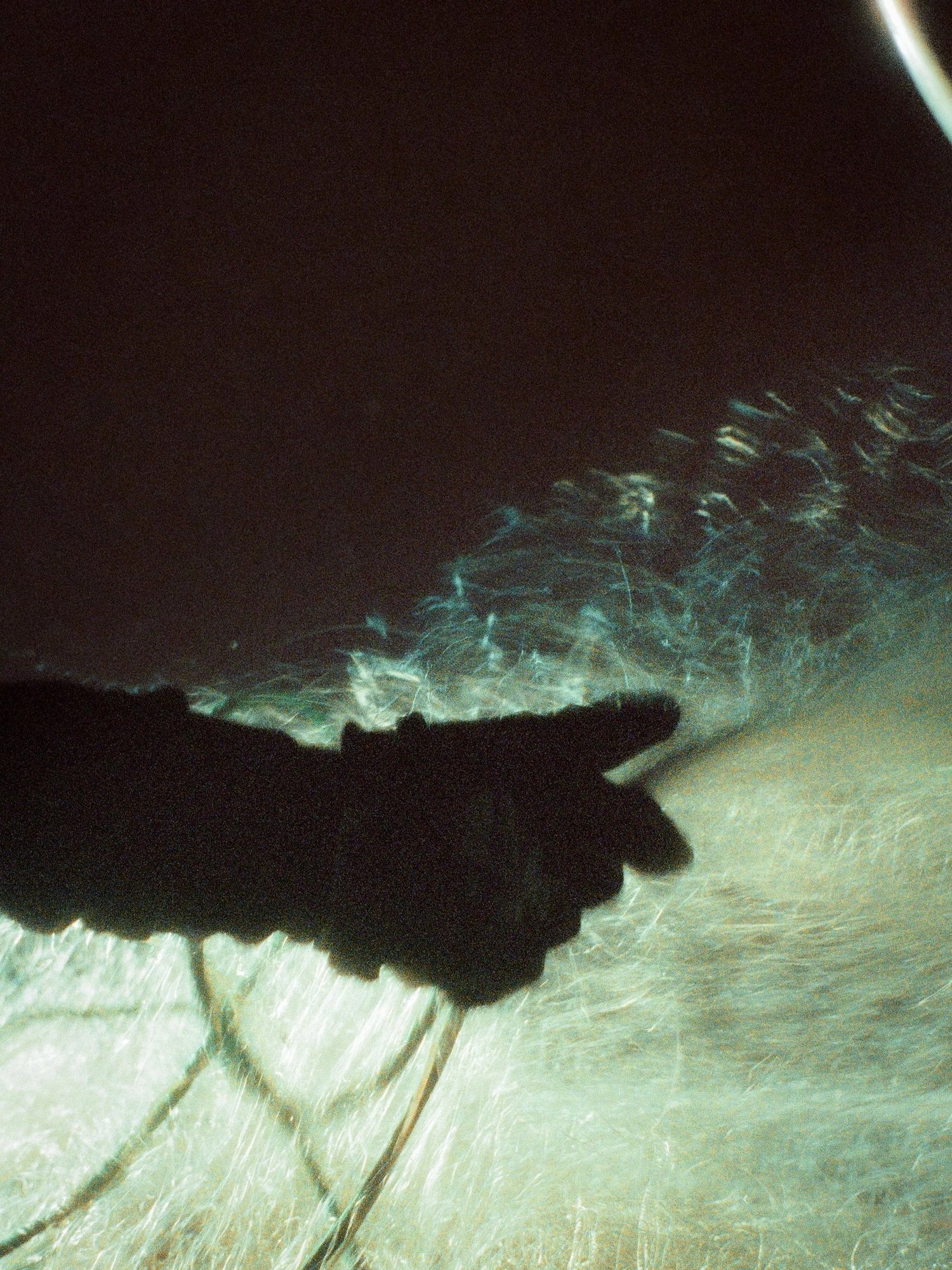 Une main gantée démaille le filet dans la nuit, à bord du bateau de Côté Fish