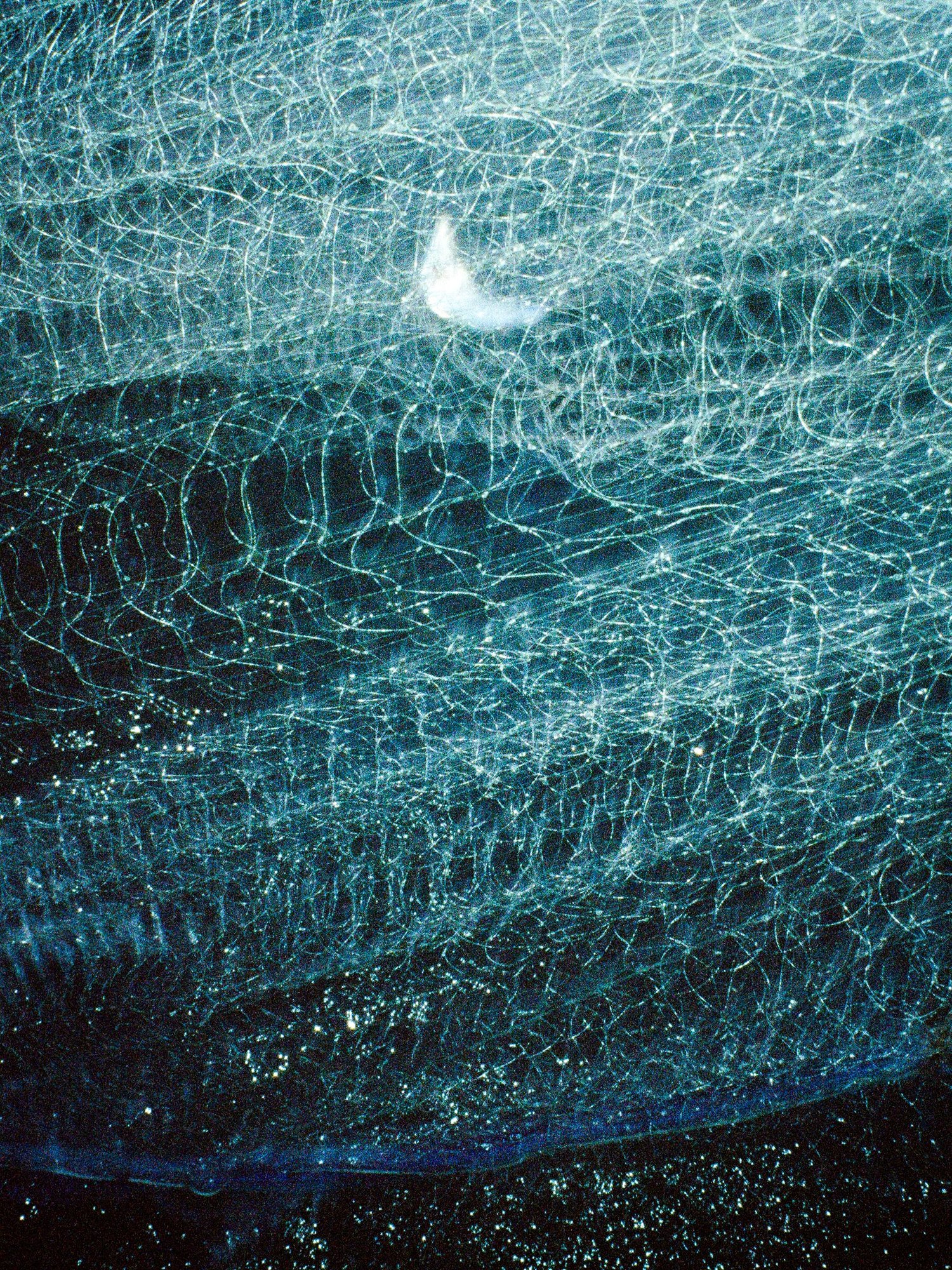 Le filet de pêche éclairé dans la nuit, maillage turquoise et prise prise dedans, Côté Fish