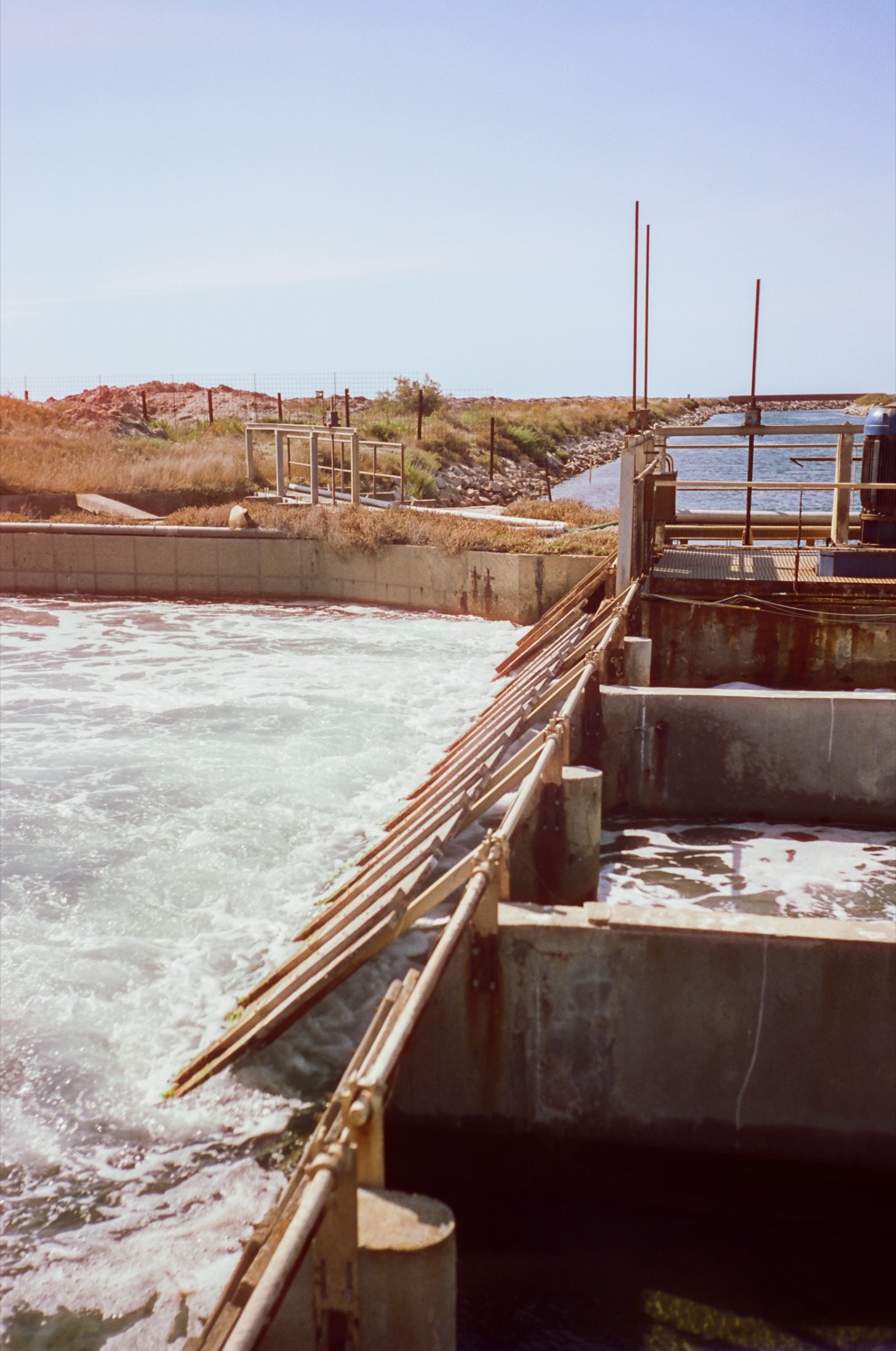 Eau claire brassée dans les canaux de béton des salins, Le Saunier de Camargue