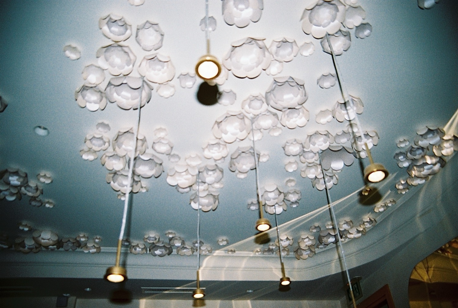 Plafond bleu constellé de fleurs de porcelaine et de suspensions dorées, boutique Cédric Grolet, Paris
