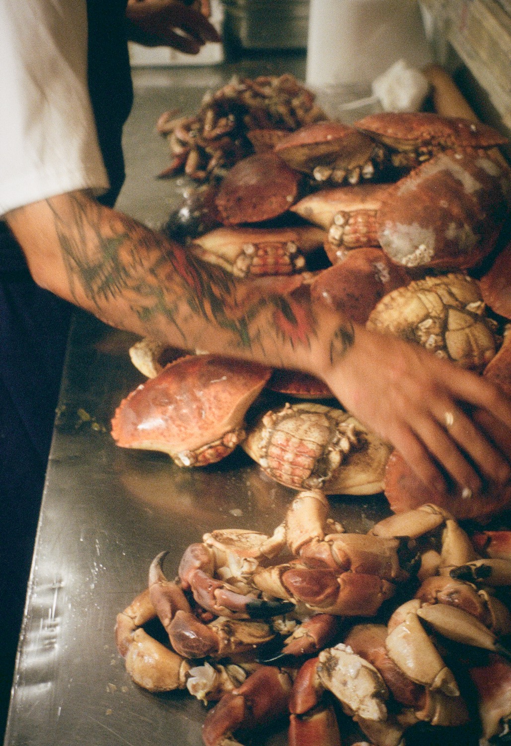 Un cuisinier étale tourteaux et pinces de crabe sur le plan de travail, Livingston, Marseille