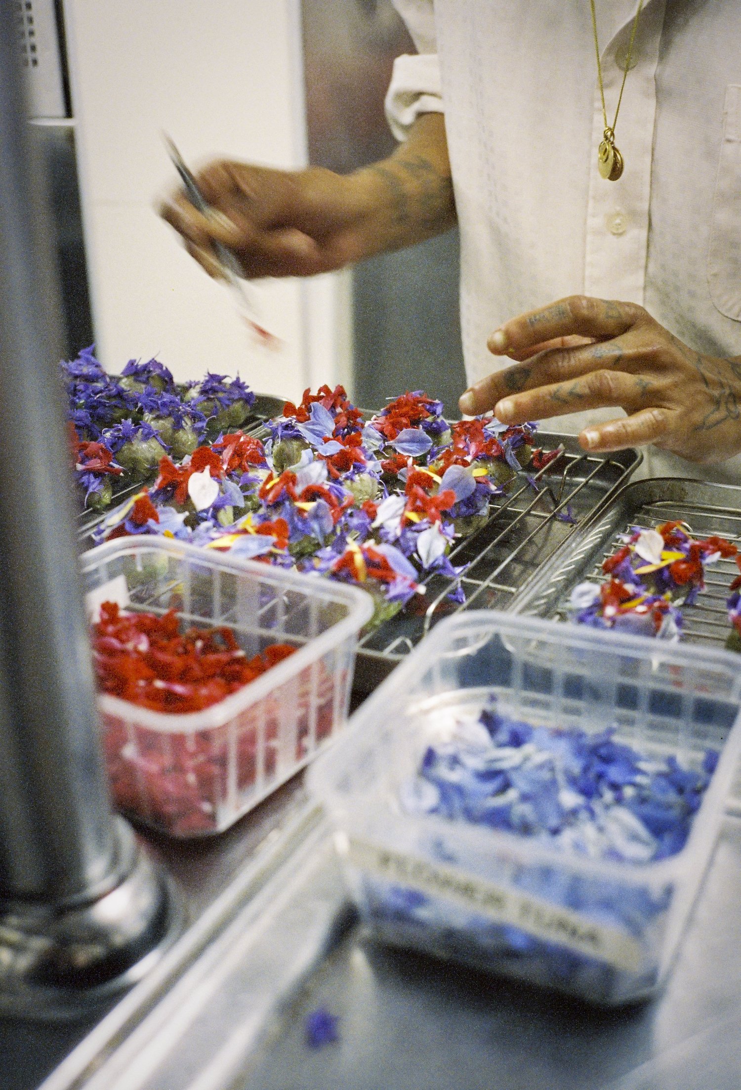 Un cuisinier trie des fleurs comestibles bleues et rouges en cuisine, dîner du chef Valentin Raffali