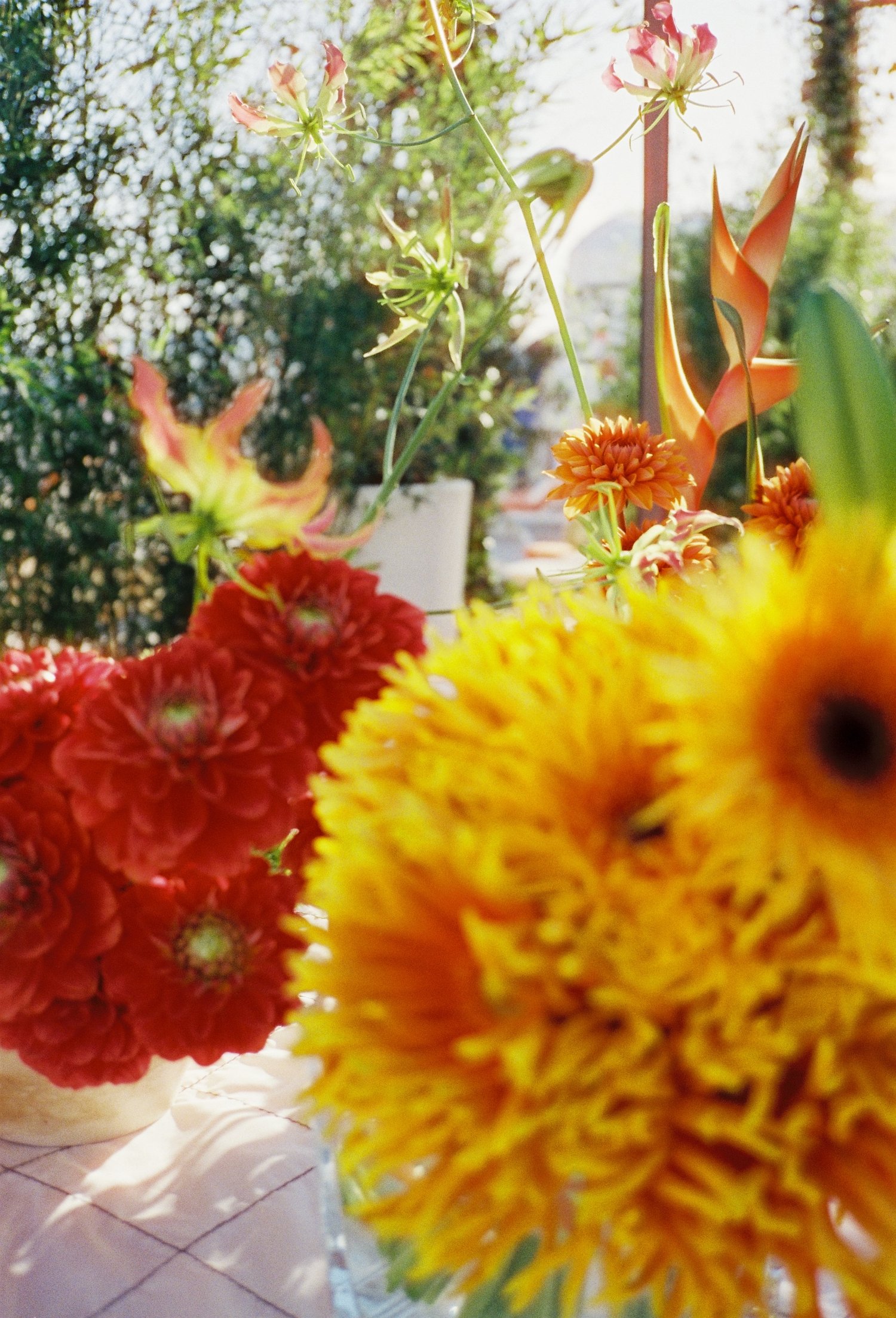 Dahlias rouges et tournesols jaunes en gros plan sur une table de réception, Festival de Cannes