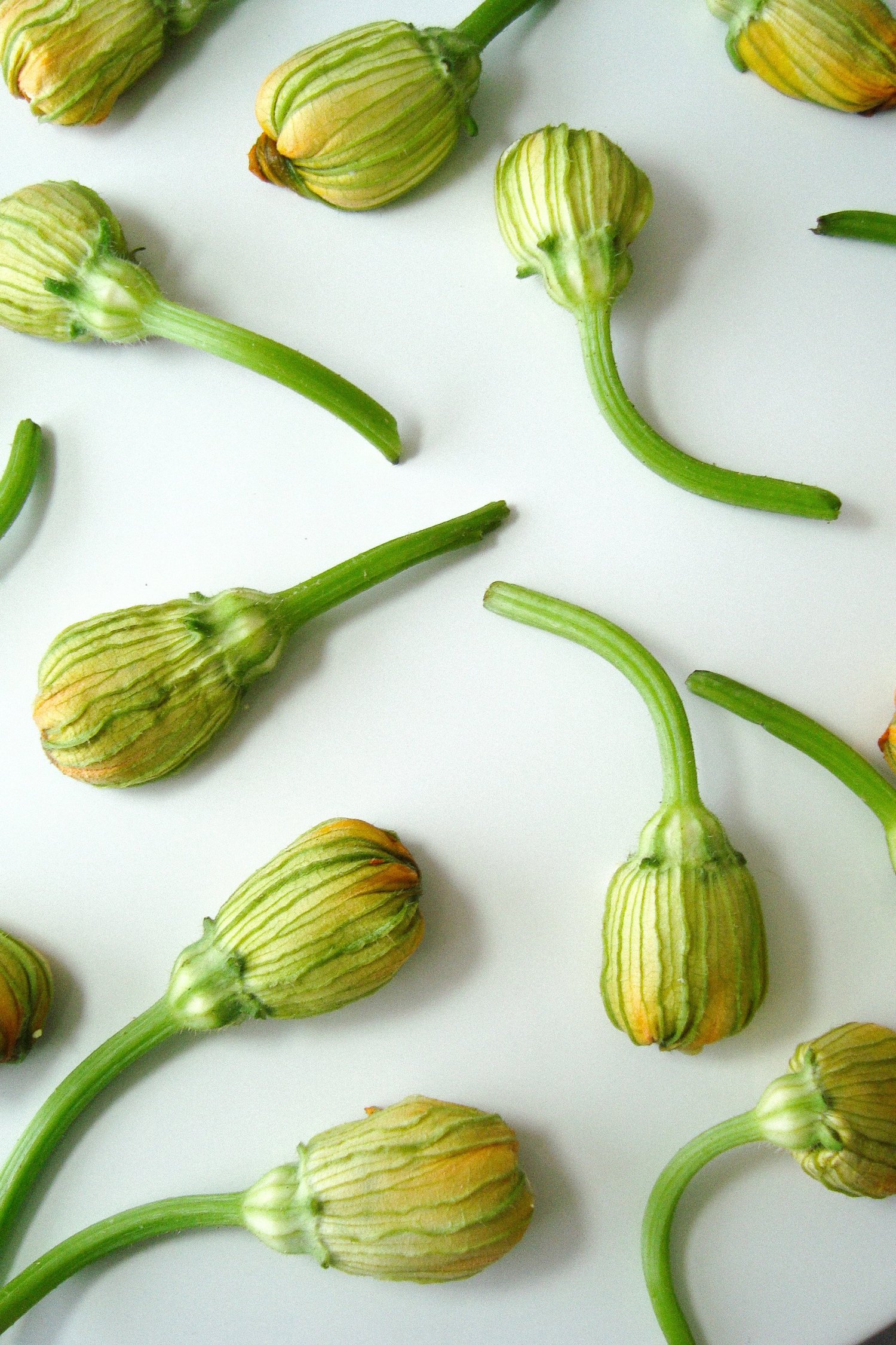 Fleurs de courgette alignées sur un plan de travail blanc, dîner Chanel signé Valentin Raffali