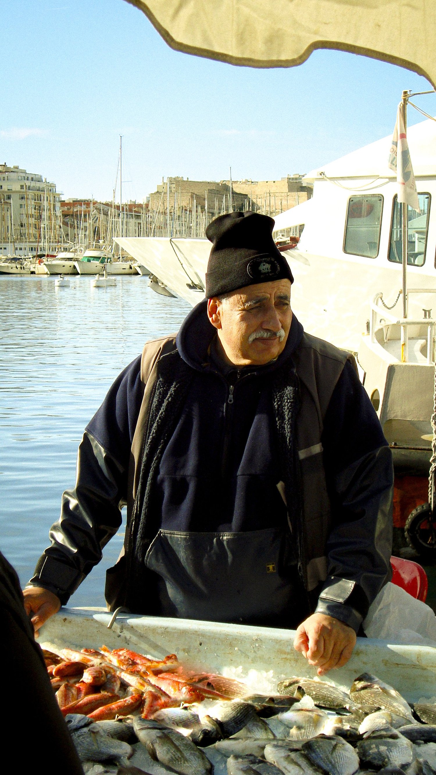 Un poissonnier derrière son étal de rascasses et de poissons blancs, Vieux-Port de Marseille