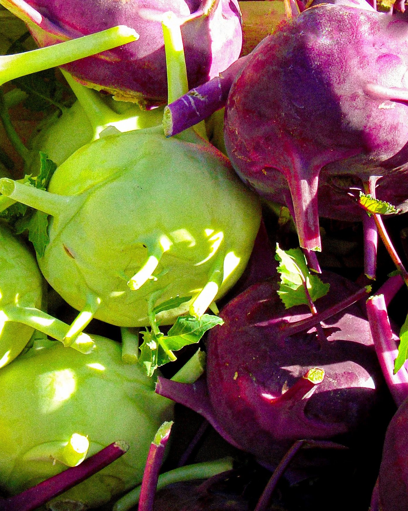 Gros plan de choux-raves verts et violets sur un étal de marché