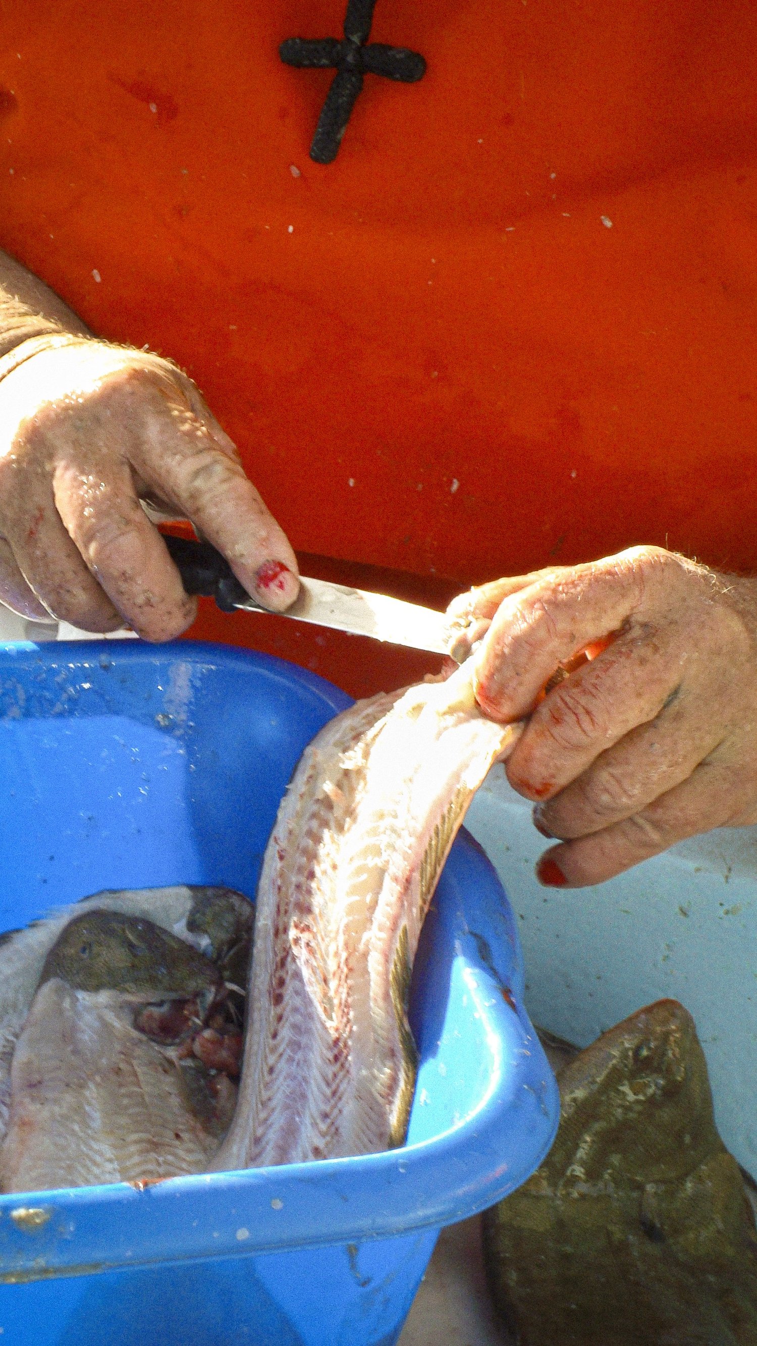Des mains lèvent un filet de poisson au couteau au-dessus d'un bac bleu, sur le port