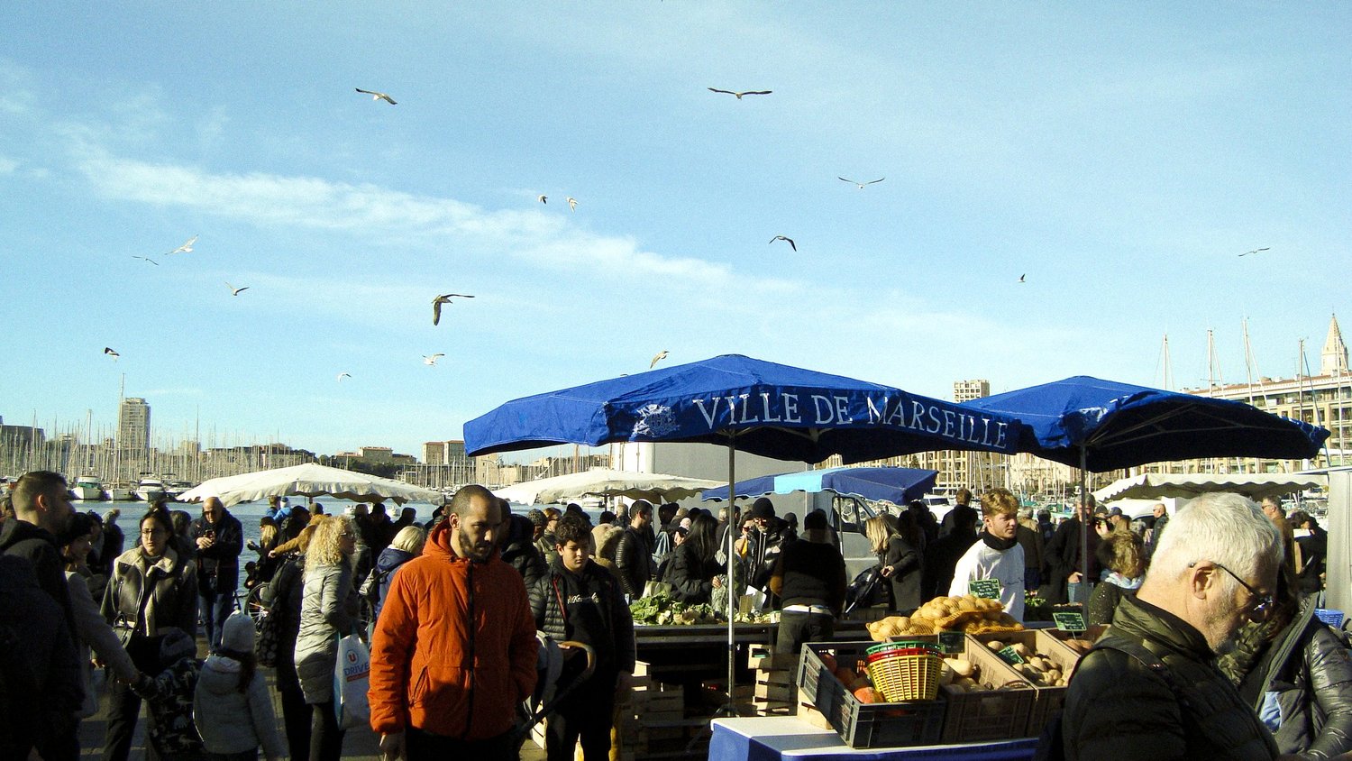 Marché aux poissons sous les parasols Ville de Marseille, mouettes au-dessus du Vieux-Port