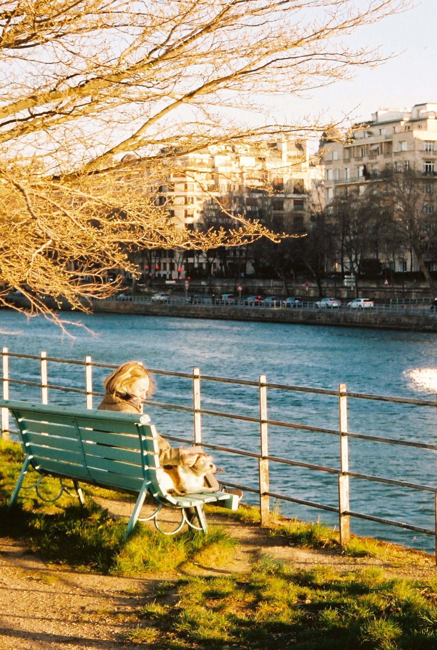 Une femme lit sur un banc vert au bord de la Seine, lumière d'hiver, Paris