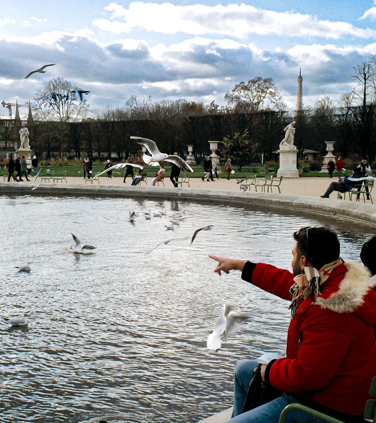 Des passants nourrissent les mouettes au bassin des Tuileries, tour Eiffel au fond, Paris